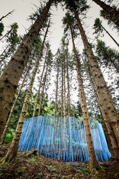 Photo Neil Denham www.neildenham.co.uk