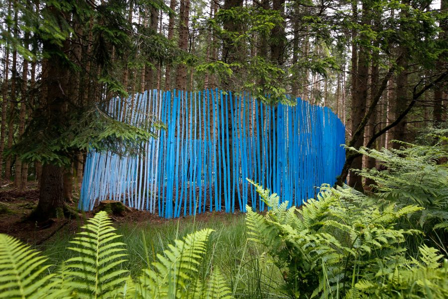 Photo Neil Denham www.neildenham.co.uk