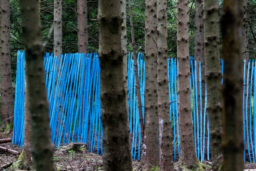 Photo Neil Denham www.neildenham.co.uk