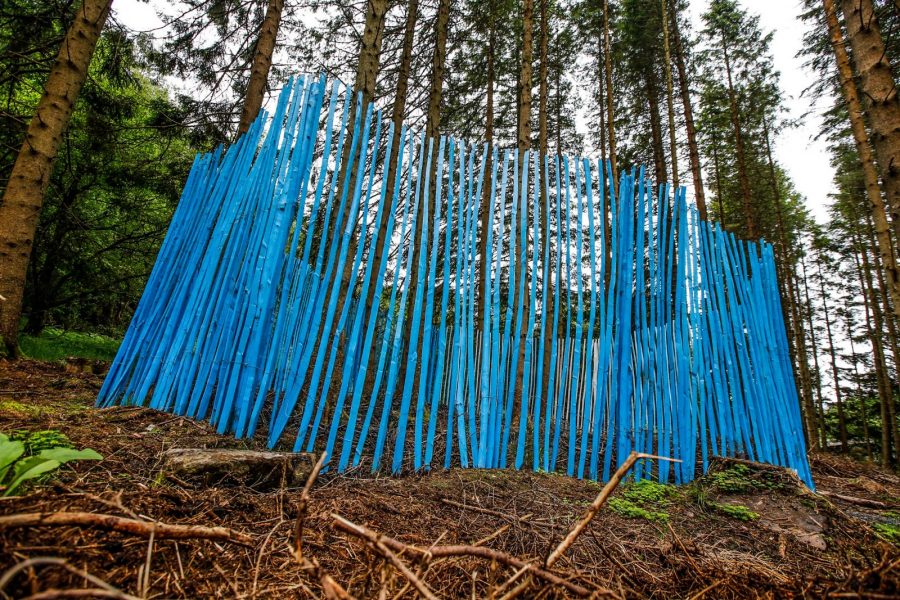 The grass seemed darker than ever